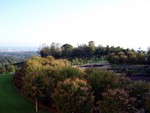central garden2