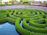 greenmaze