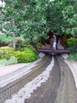 stream