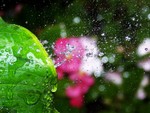 splash1