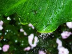 splash2