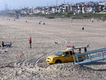 can you see the seagull