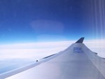 wings