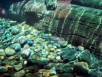 underwater