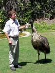 birdshow11