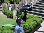 birdshow6