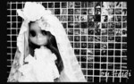 <style type="text/css">
body 
{
background-image: 
url("http://www.fotop.net/albums/beingheidi/beingheidi21/002_G.jpg");
background-repeat: 
no-repeat;
background-attachment: 
fixed;
background-position: 
center center
}
</style>
