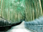 
�饻�D�ʳ��P�s �D�o�� �˪L (PS)