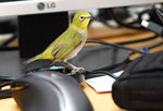 image0009