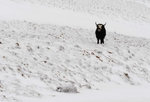 image0001