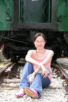 Little Cat on the Rail IV