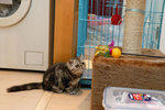 �ڭ��곥�աA���n���P�ڪ��r
