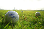 The Official OGC Golf Ball