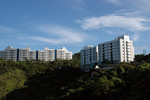 Apartments for Postgraduates
