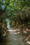 The Beautiful Hiking Path