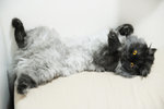 BFC_2487-web