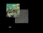 under water 2