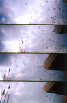 lomo008