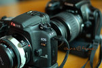 mytoys