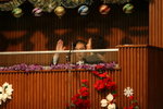 Baptism_013