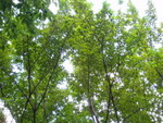 P9200111