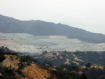 aP1010051