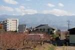 IMG_2929