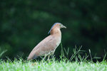 IMG_8819