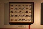 CRW_5713