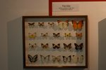 CRW_5717