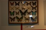 CRW_5718