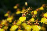 CRW_5957