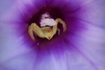 CRW_9067