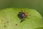 CRW_9998