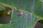 CRW_0028
