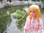 200504160499c