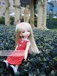200504300652c