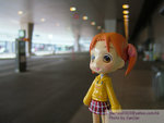 200605011797f