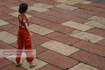 20060805849m