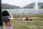 200612032086m