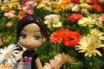 200803152976r