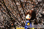200803243163r