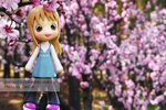 200803243194r