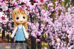 200803243195r