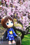 200803243197r