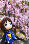 200803243198r