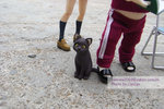 20080413_3479r