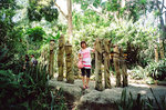 20080628_005f