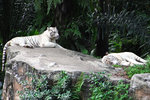 20080630_3886r