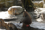 20080630_3895r